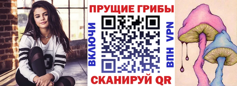 купить Аргун Галлюциногенные грибы GOLDEN TEACHER