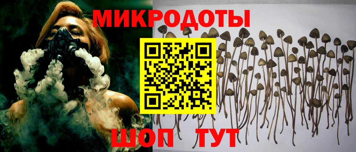 Аргун  Псилоцибиновые грибы мухоморы  Вход с VPN 